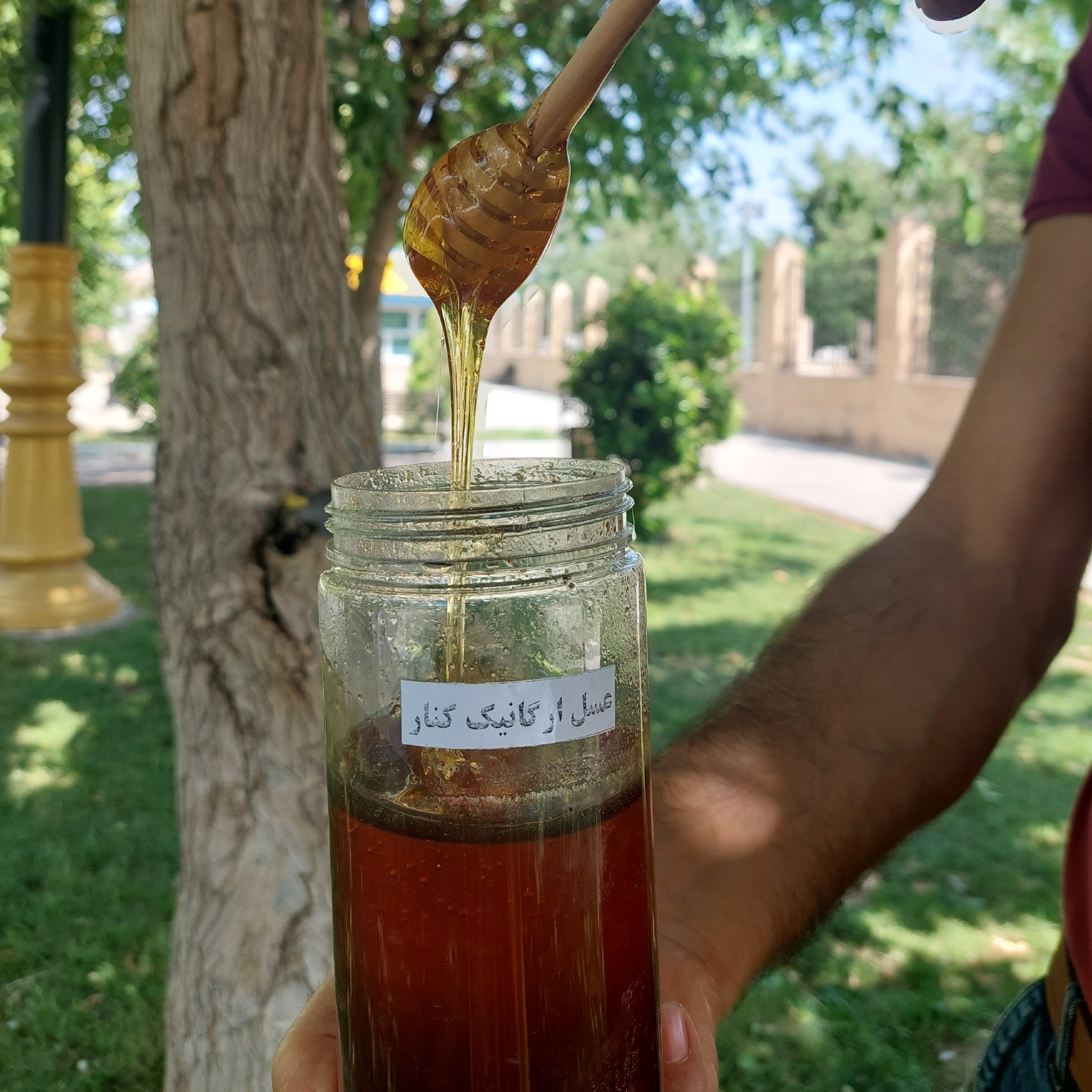 عسل ممتاز ،خام و ارگانیک  کنار انگبین ناب(1کیلوگرم)