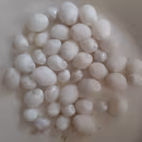 صدف چشم کوسه ای سفید میکس ریز و متوسط 42 عدد 108 گرم