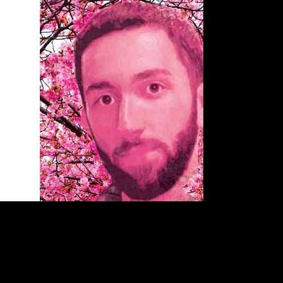 کتاب آرام جان - شهید محمدحسین حدادیان