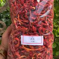 خلال پاپریکا 1 کیلوگرمی امسالی اقای زعفران