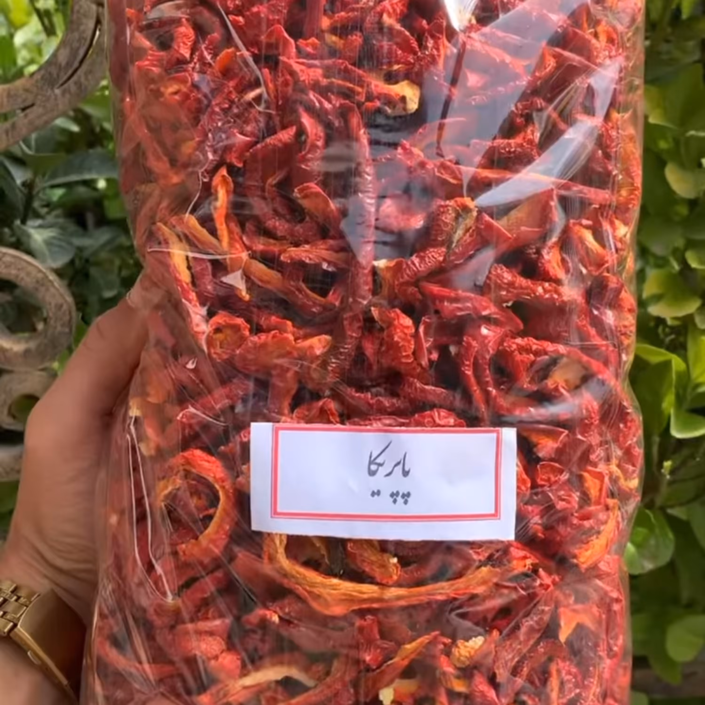 خلال پاپریکا 1 کیلوگرمی امسالی اقای زعفران