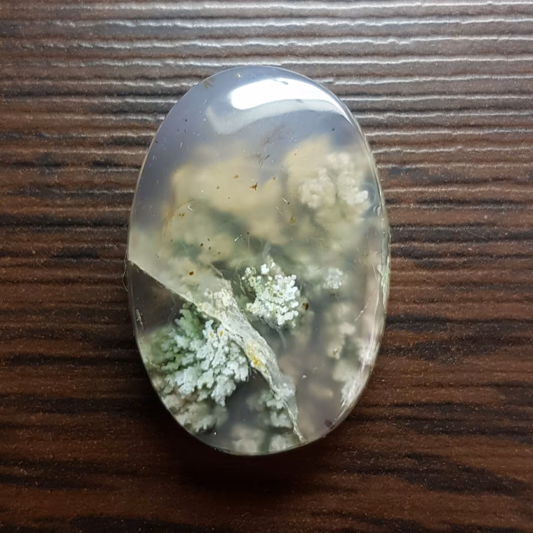 نگین عقیق شجر دریایی