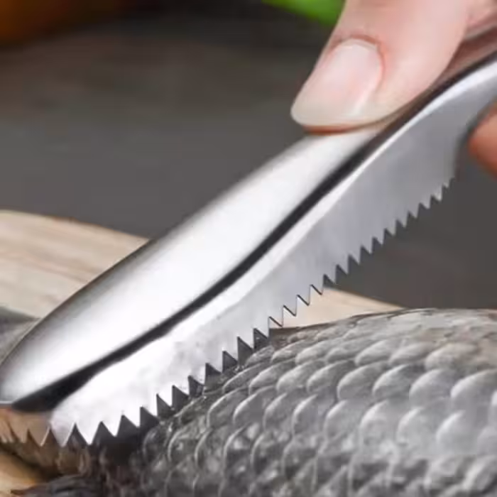 پولک گیر استیل ماهی