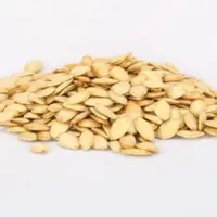 کدو گوشتی نمکی 1000 گرم