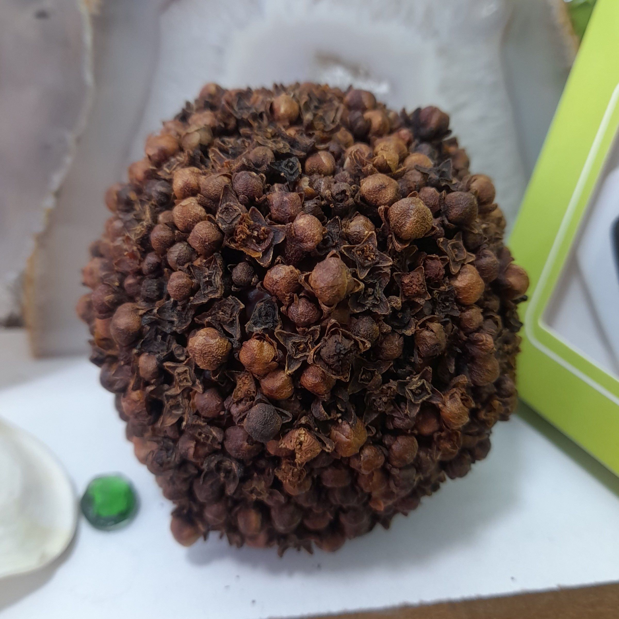 سیب میخک کوب