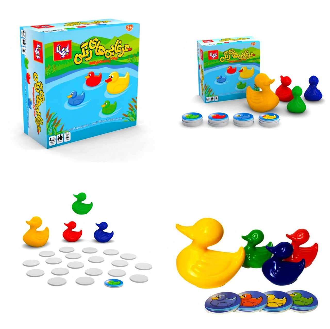 بازی فکری مرغابی های رنگی