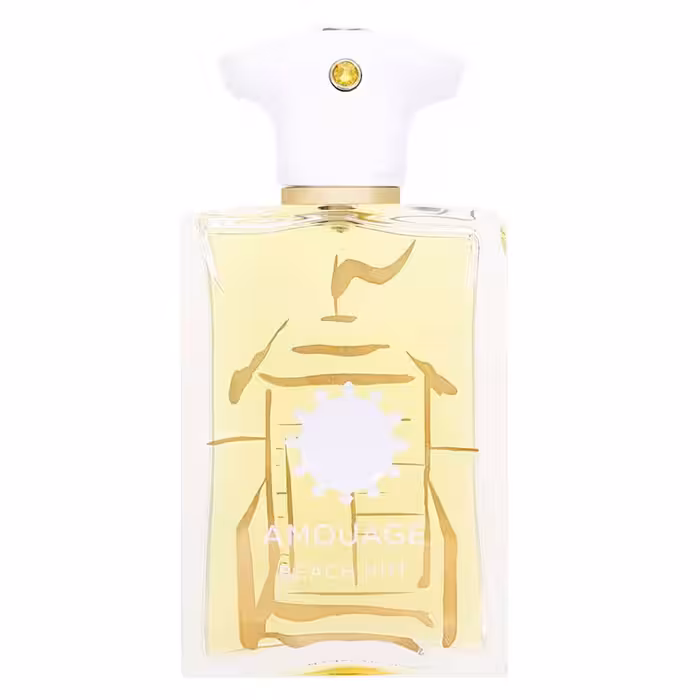 ادو پرفیوم مردانه AMOUAGE Beach Hut حجم 100 میلی لیتر