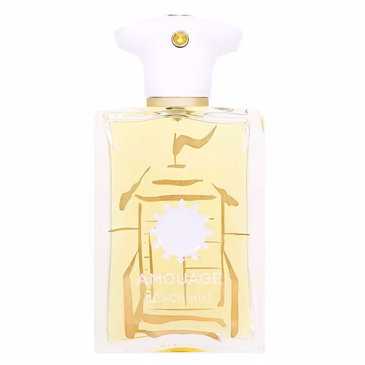 ادو پرفیوم مردانه AMOUAGE Beach Hut حجم 100 میلی لیتر