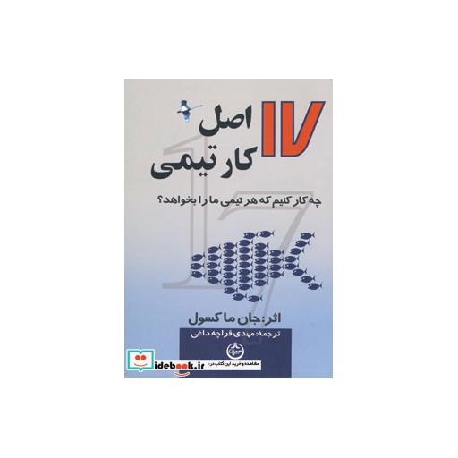 کتاب 17 اصل کار تیمی چه کار کنیم که هر تیمی ما را بخواهد