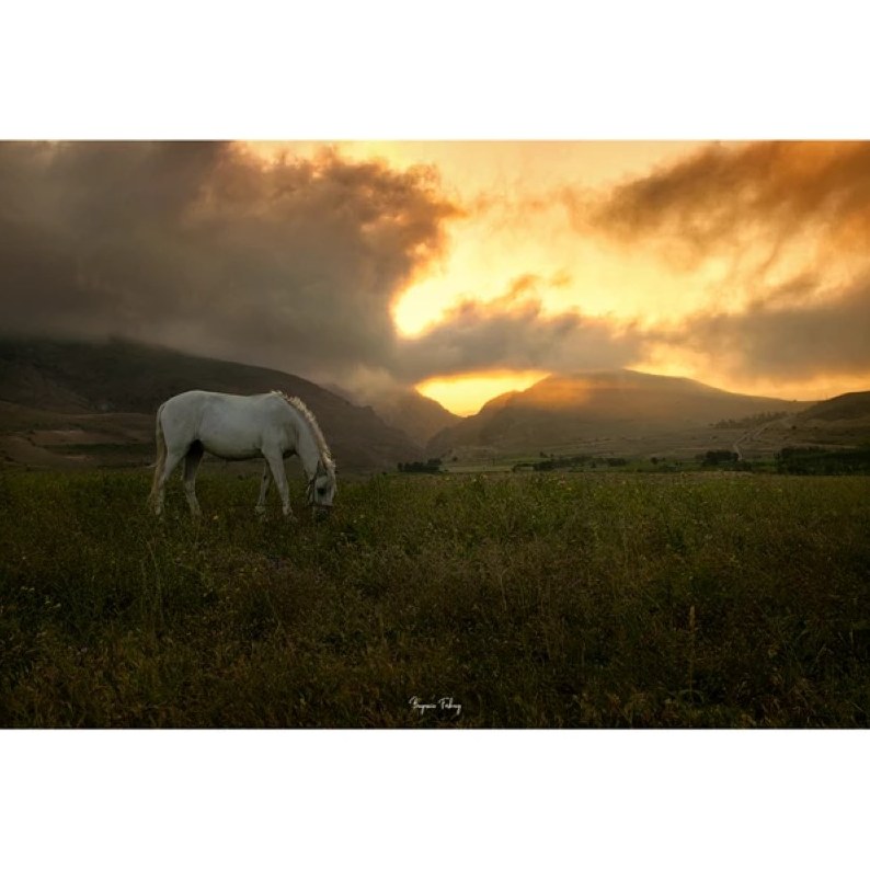 تابلو شاسی کد benpics-0045 (ابعاد 90x60 - شاسی 8 میل-کاغذ سیلک-اصالت تصویر)