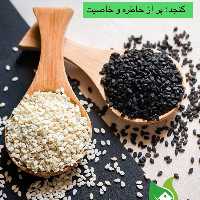 کنجد سفید  200 گرمی