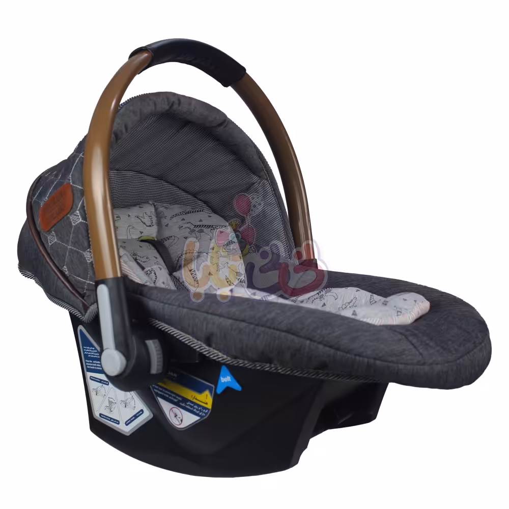 کریر دلیجان مدل بنیتاپلاس طرح hiro 4