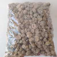 بستر لیکا بسته 1 کلیویی