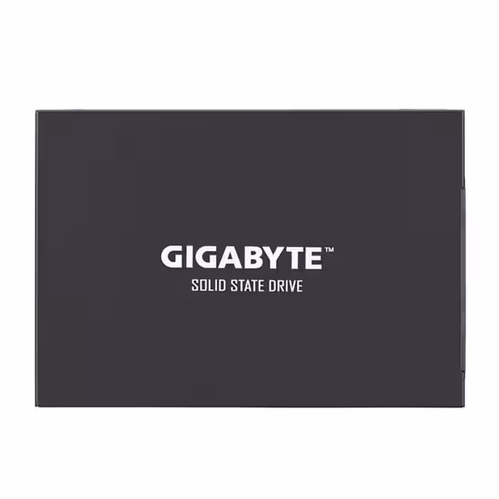 حافظه اس اس دی اینترنال گیگابایت مدل SSD ظرفیت 256 گیگابایت