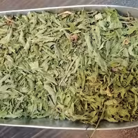 نعنا فلفلی (بسیار معطر) وزن 100 گرم (پس کرایه)