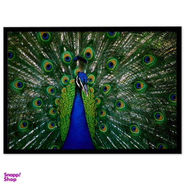 تابلو بکلیت طرح طاووس مدل B-s1632