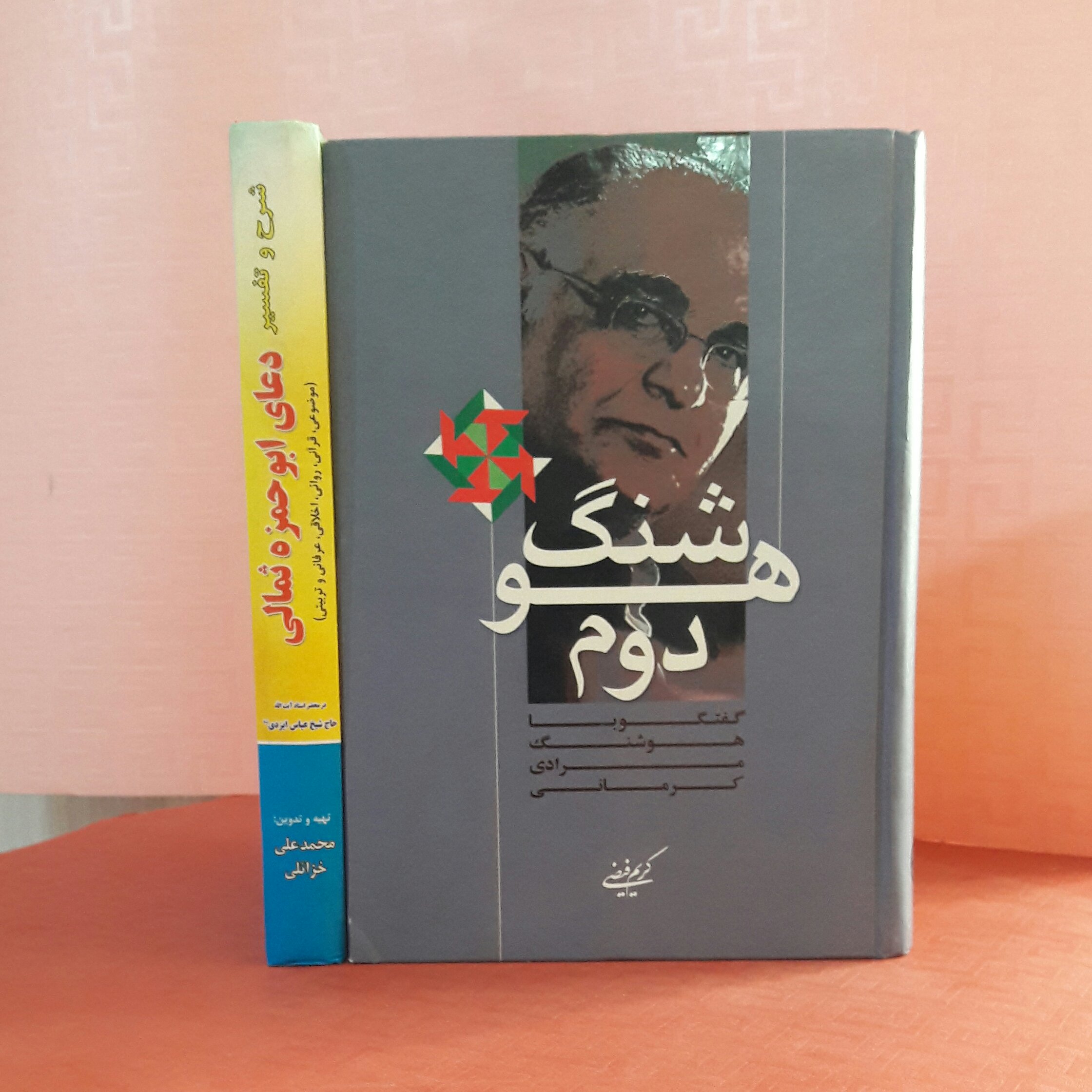 کتاب هوشنگ دوم ؛ گفتگو با هوشنگ مرادی کرمانی/ به کوشش کریم فیضی