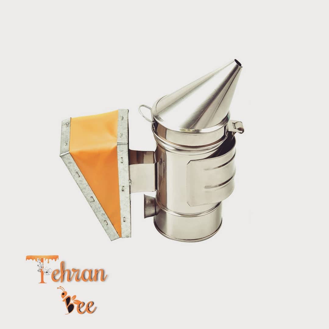 دودی زنبور 