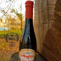 شامپاین magic