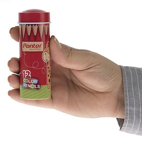 مدادرنگی نقاشی 12رنگ استوانه ای پنتر