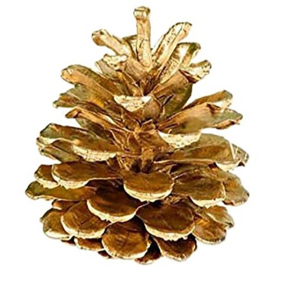 کاج مجموعه ی سه عددی طلایی