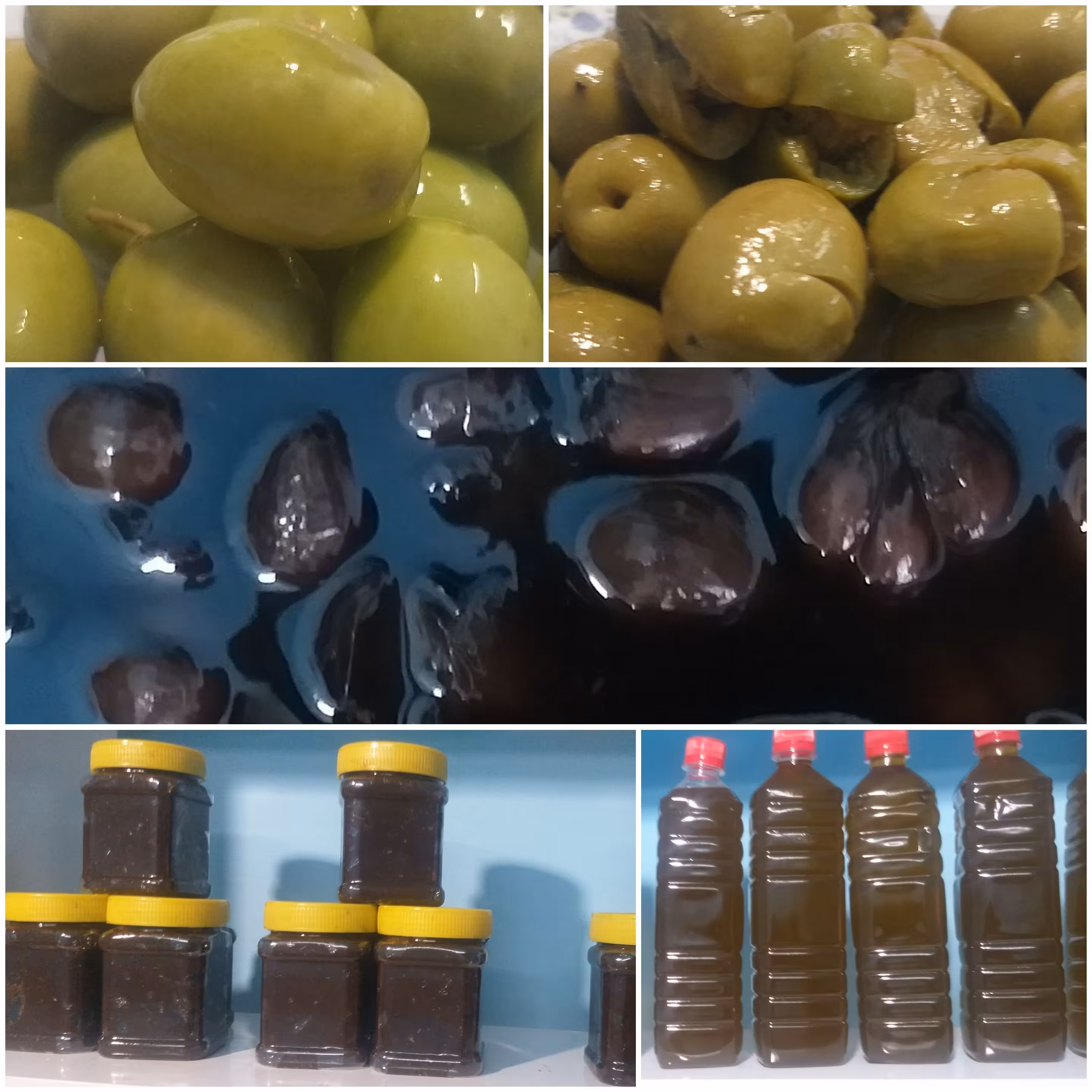 پک ویژه (ارسال رایگان) محصولات طارم 