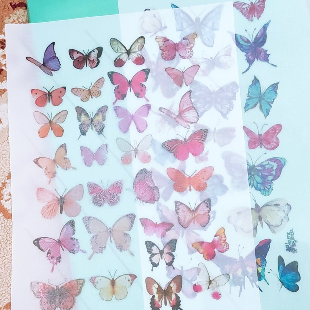 پک 20تایی پروانه شفاف 