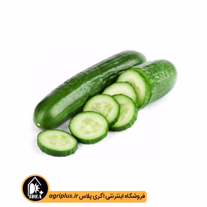 بذر خیار زمینی بسته بندی خانگی
