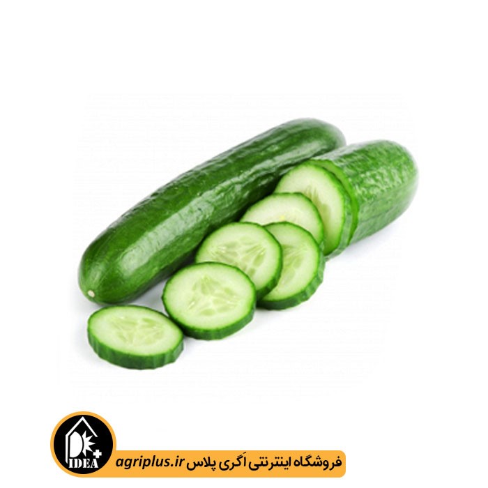 بذر خیار زمینی بسته بندی خانگی