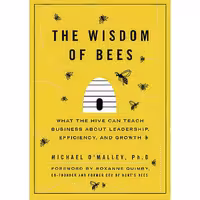 کتاب زبان اصلی The Wisdom of Bees اثر Michael OMalley انتشارات Portfolio