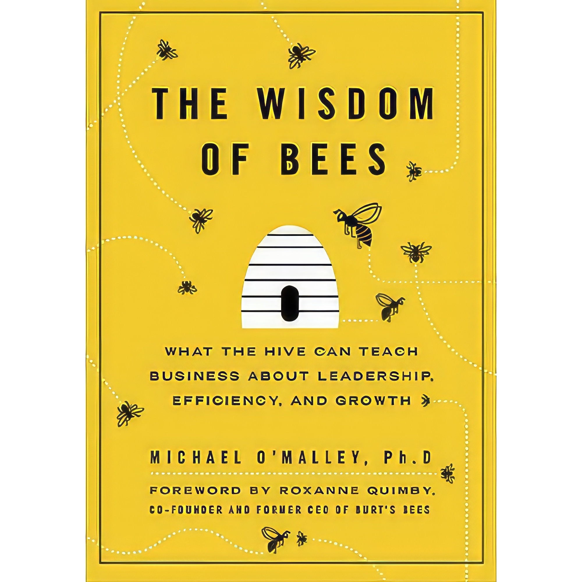 کتاب زبان اصلی The Wisdom of Bees اثر Michael OMalley انتشارات Portfolio