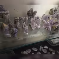 سنگ آمیتیسیت