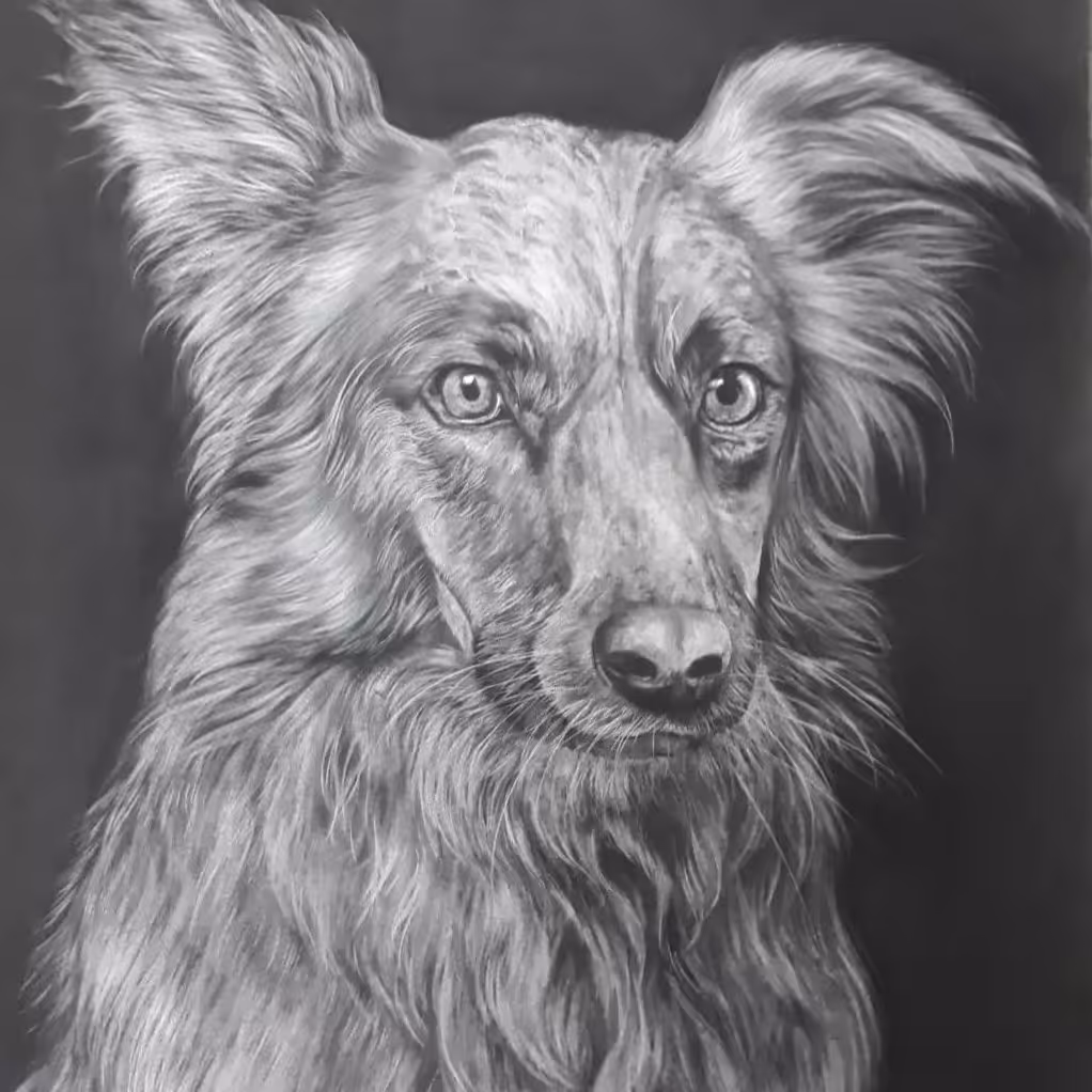 تابلو سیاه قلم سایز 100 در 70