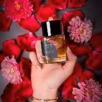 عطر ادکلن فنک وینتیج Fennec Vintage