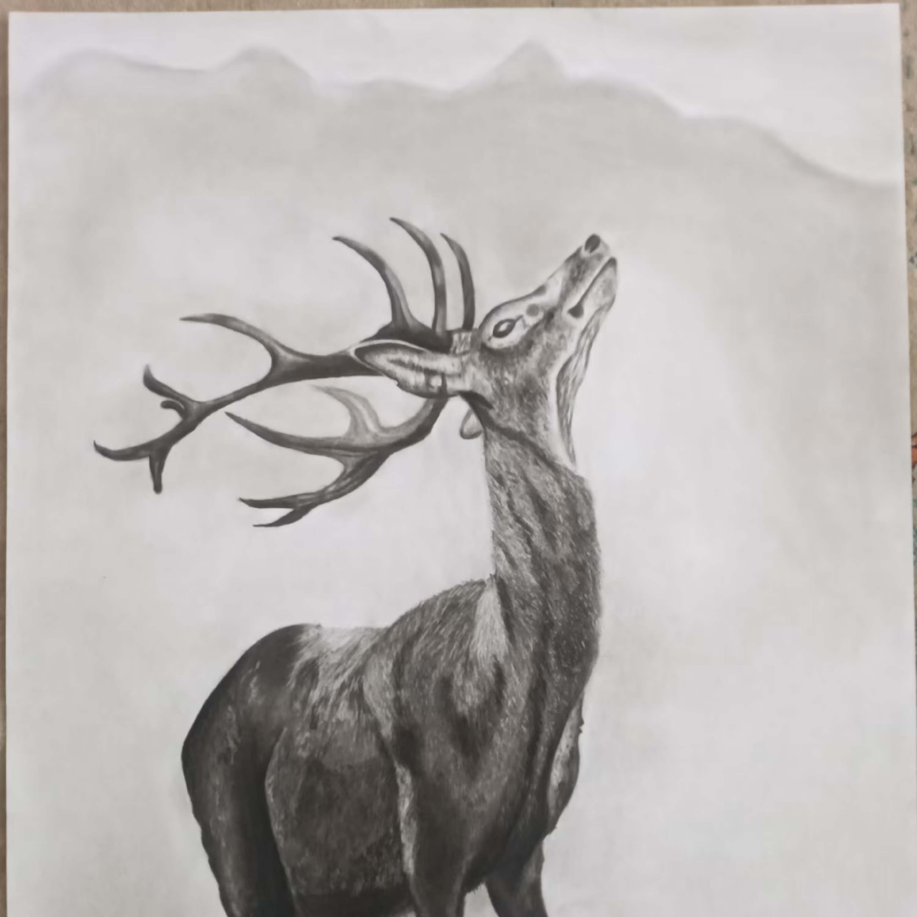 تابلو سیاه قلم 50 در 70