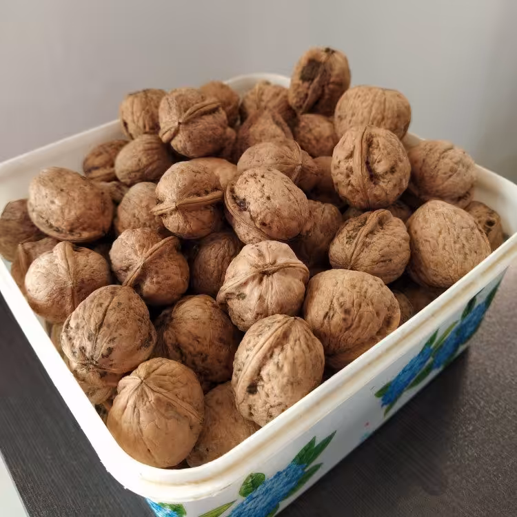 گردو کردستان مغز سفید امساله خوش طعم 