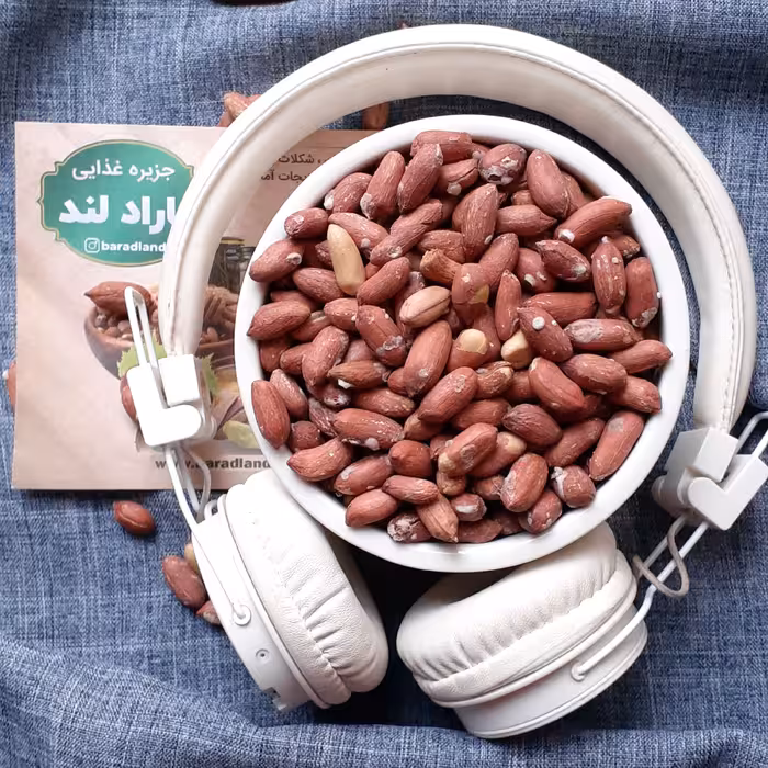 بادام زمینی لوکس درشت و تازه آستانه اشرفیه(1000 گرمی )باراد لند خوشمزه با تضمین کیفیت