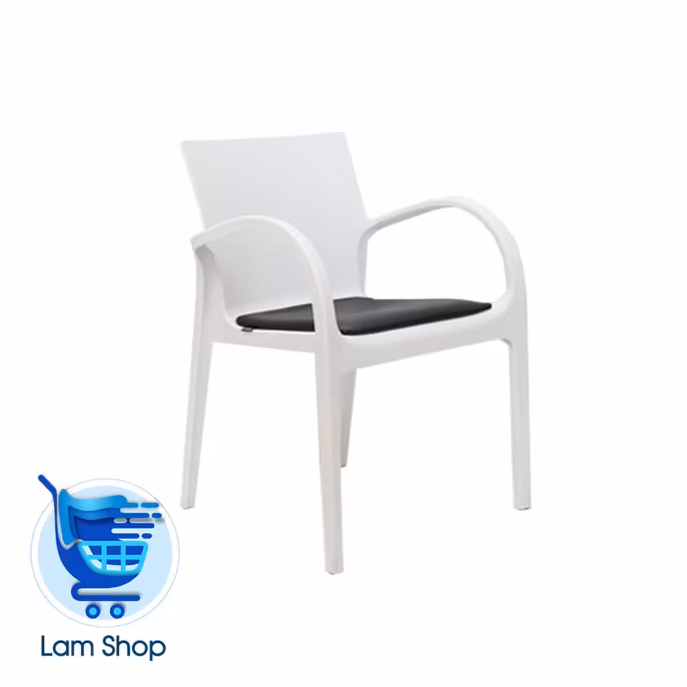 صندلی دسته دار دژاوو با تشک P807 نظری(زمان ارسال 15 تا 20 روز کاری)