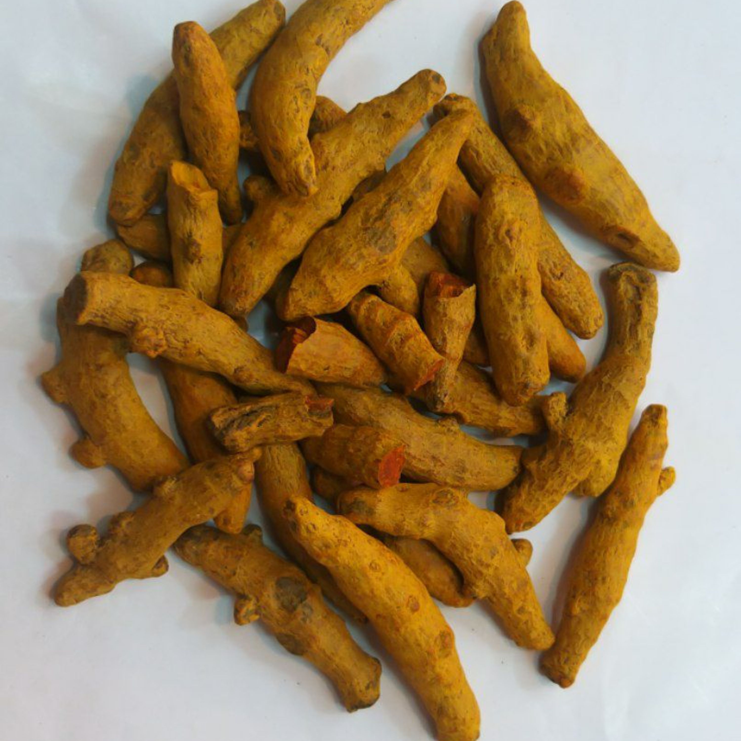 چوب زرد چوبه یک کیلویی