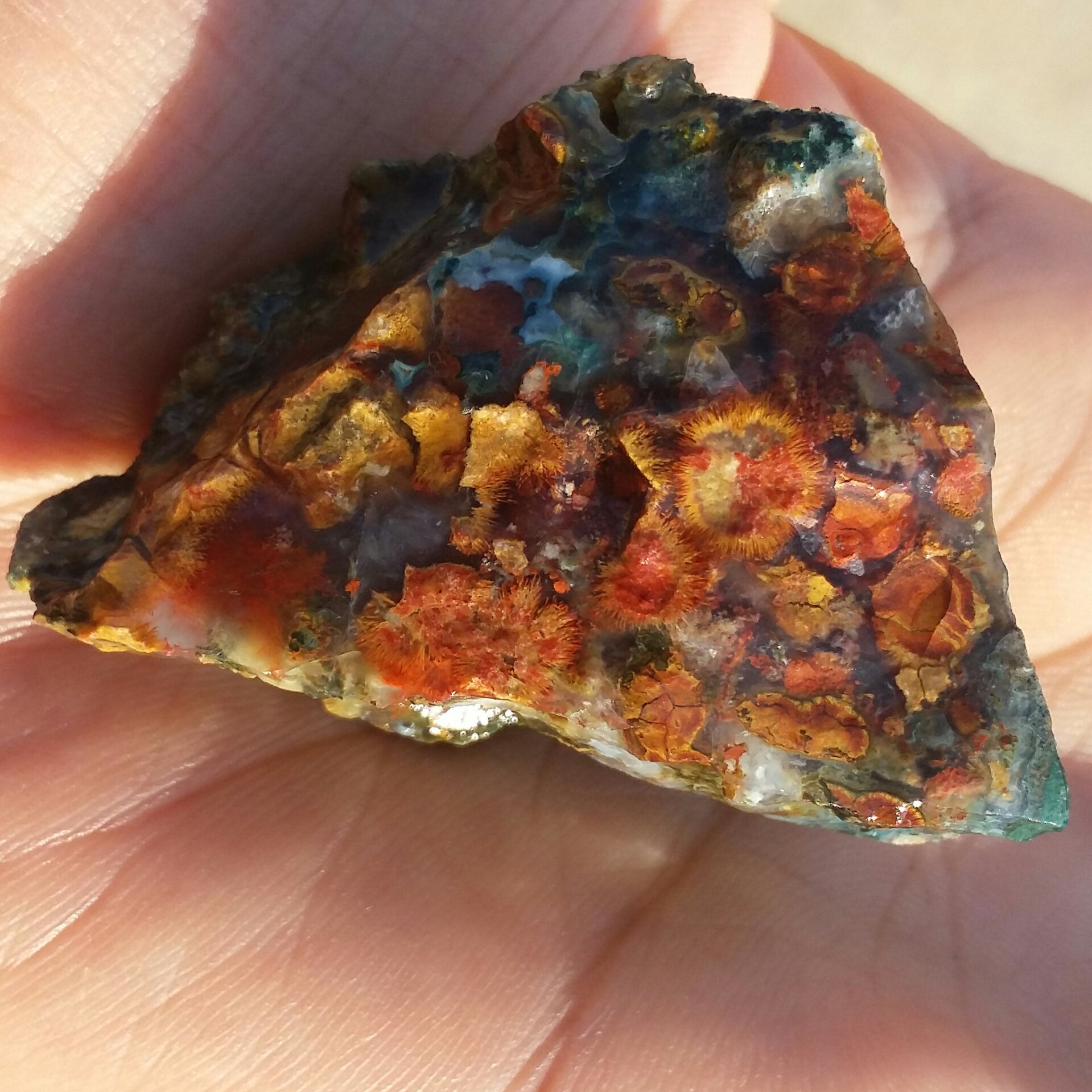 سنگ راف جاسپر اقیانوسی(باباقوری دار) بسیار زیبا 
کاملا طبیعی
شاااهکار خلقت بی نظیر
کد 7786