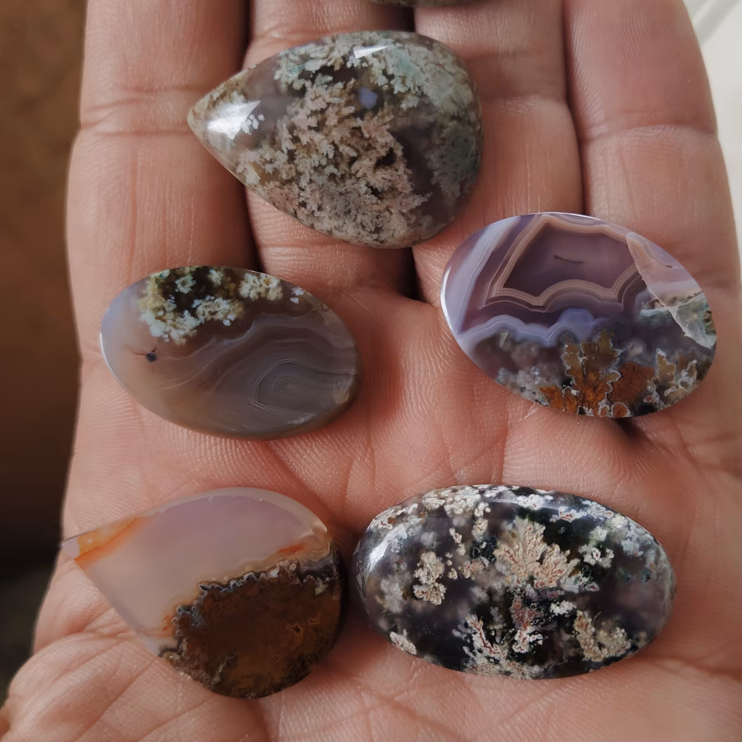 نگین شجر بهاری