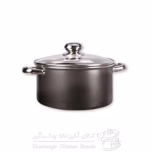 قابلمه زرساب سیلویا مدل SI-422 سایز 22