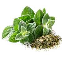 اورگانو اصلی 1000 گرمی KFC