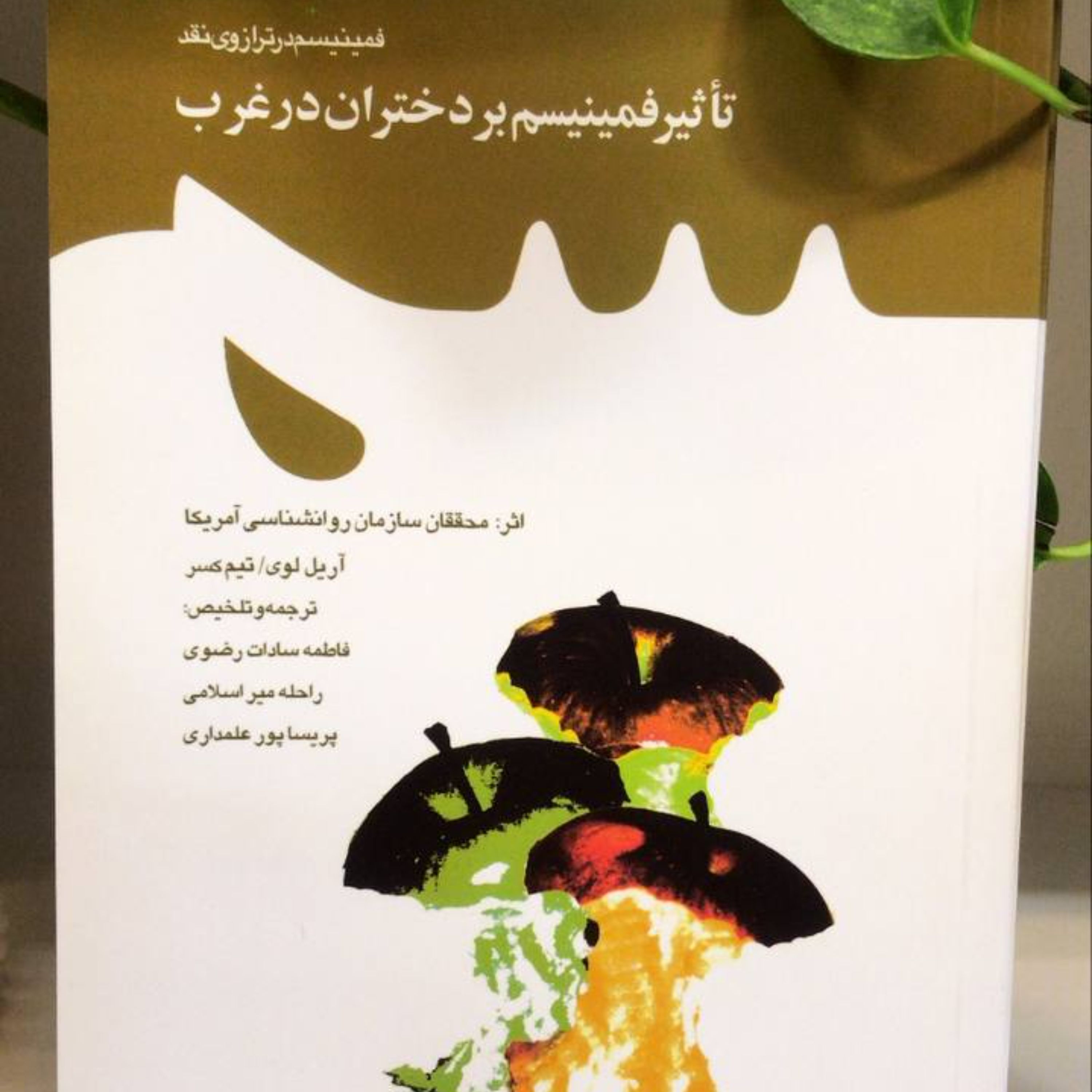 کتاب تاثیر فمینیسم بر دختران در غرب