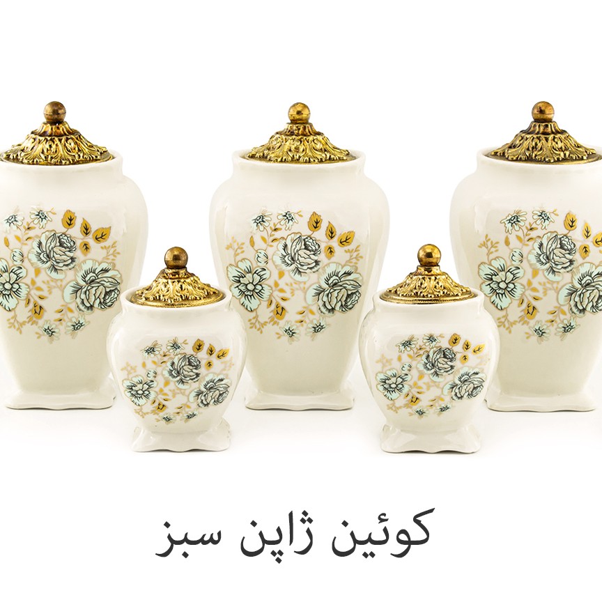 پاسماوری  درب فلزی درچندطرح