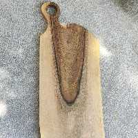 تخته گوشت گردو سیاه 