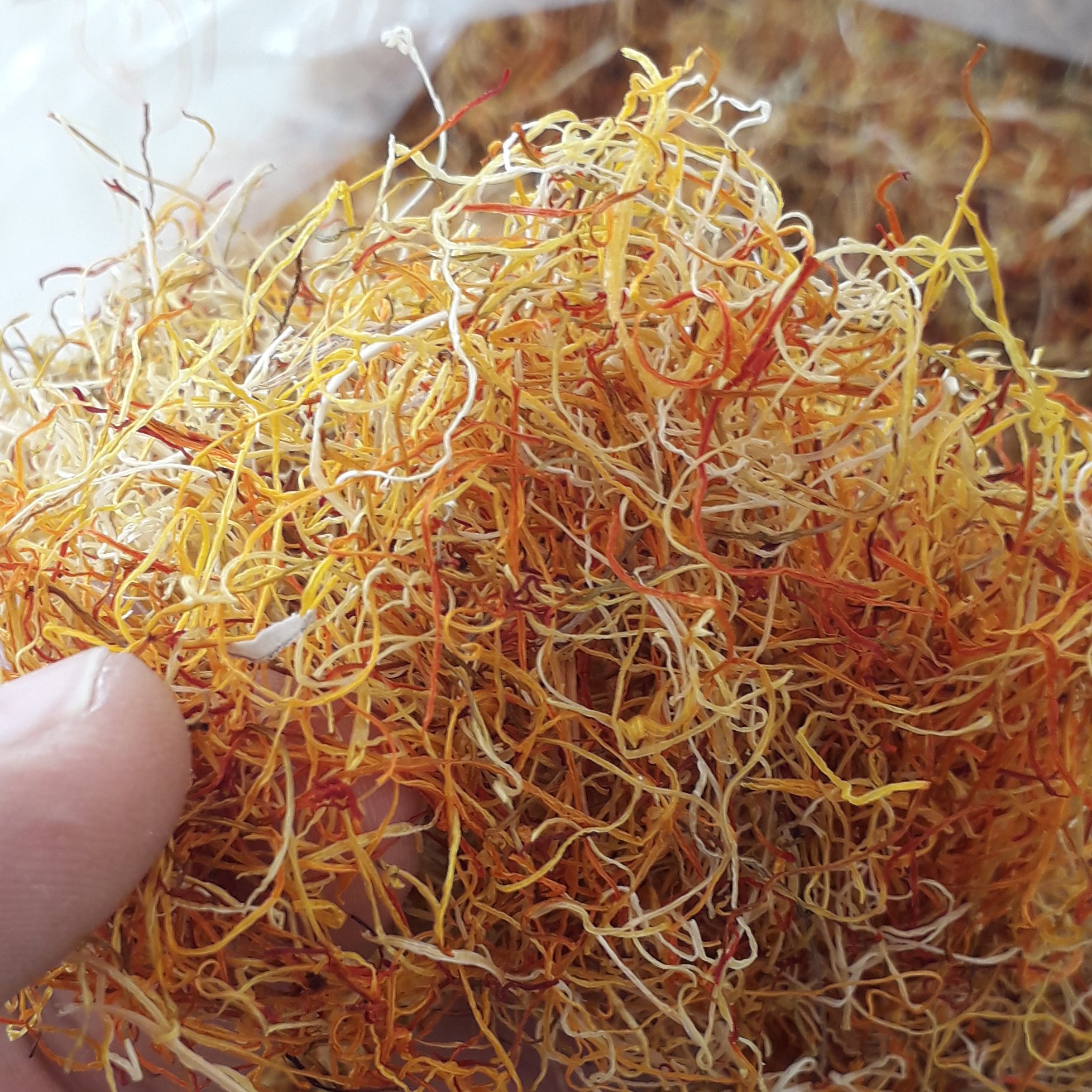 ریشه ممتاز زعفران