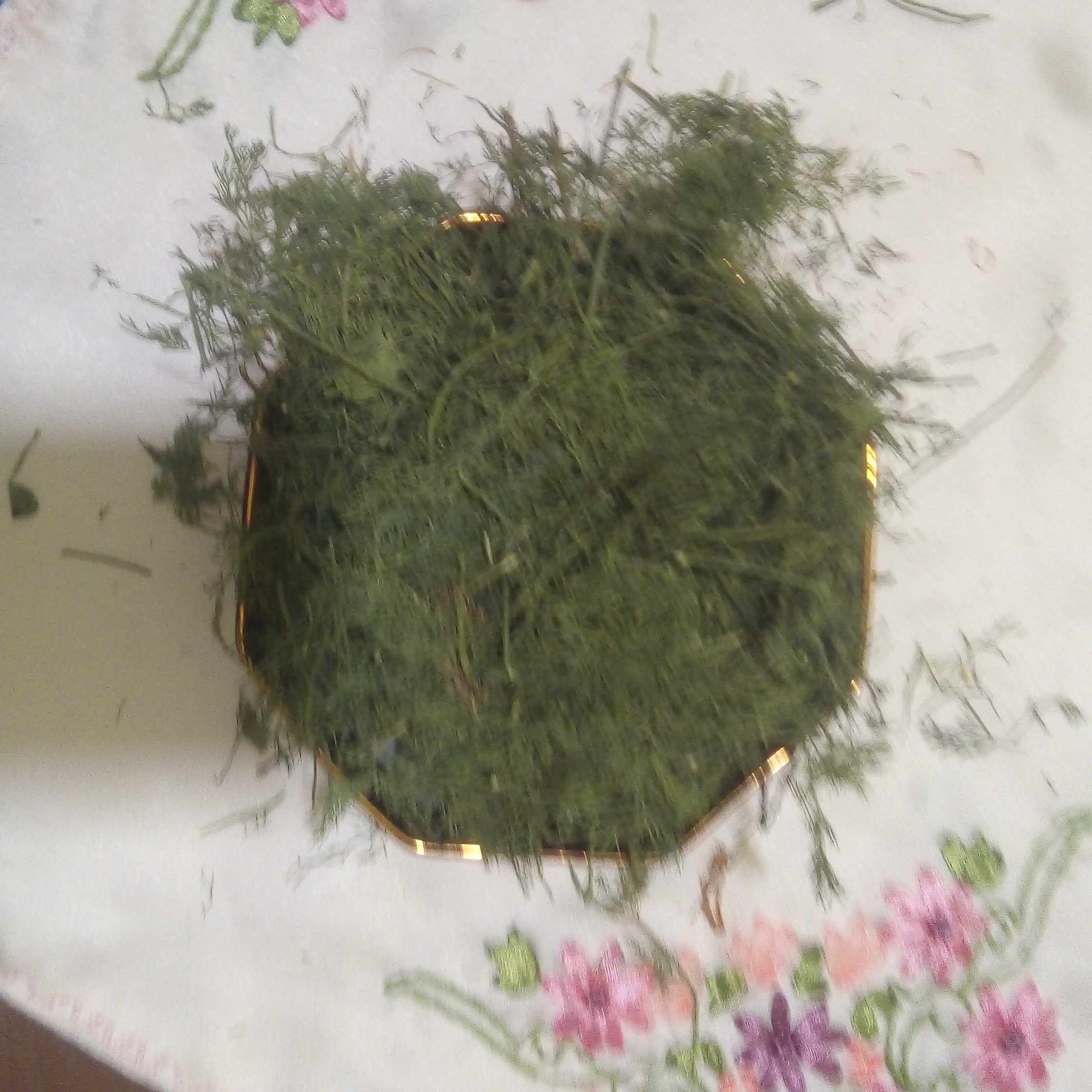 شوید پلویی 50 گرمی