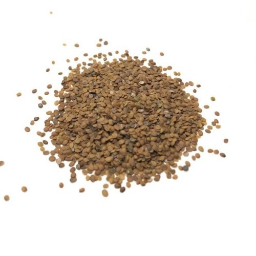 قدومه شیرازی 50 گرمی