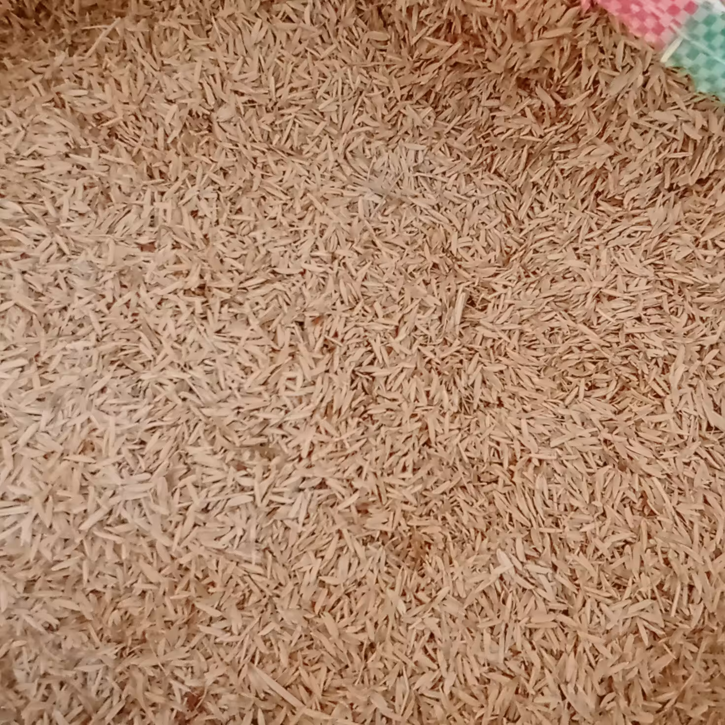 پوست برنج   تخفیف ویژه غرفه مکمل عالی خاک گلدان  کاملا خشک  (در با سلام این حجم و قیمت را مقایسه کنید)